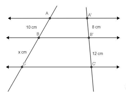 retas na horizontal paralelas