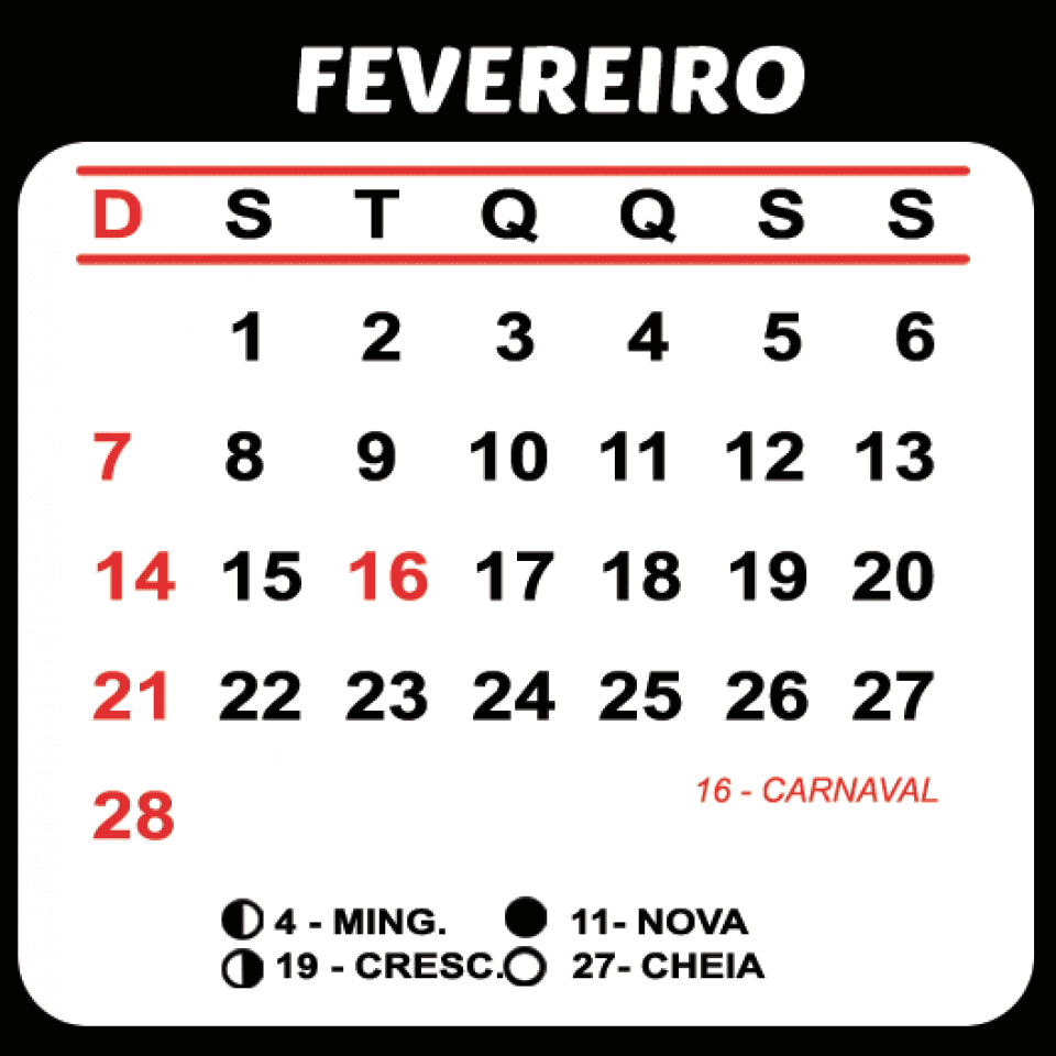 Quantos meses tem 28 dias no ano?