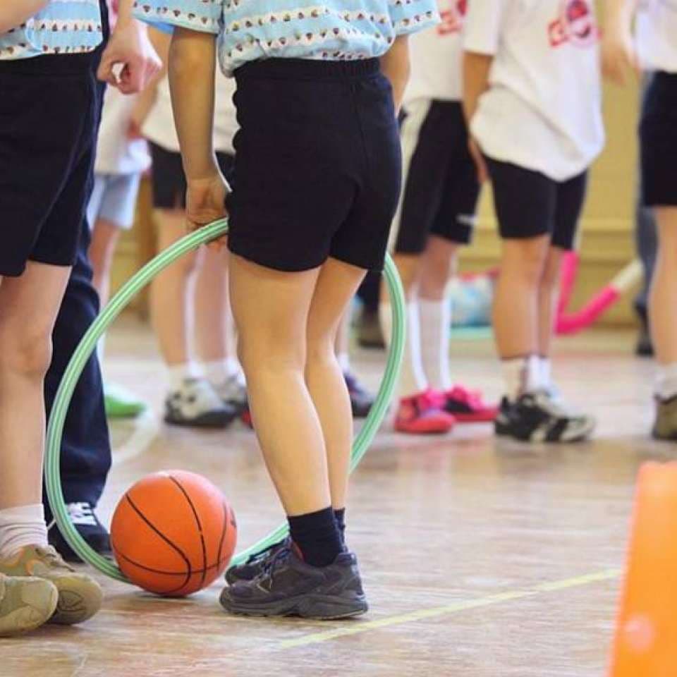 História da Educação Física no Brasil