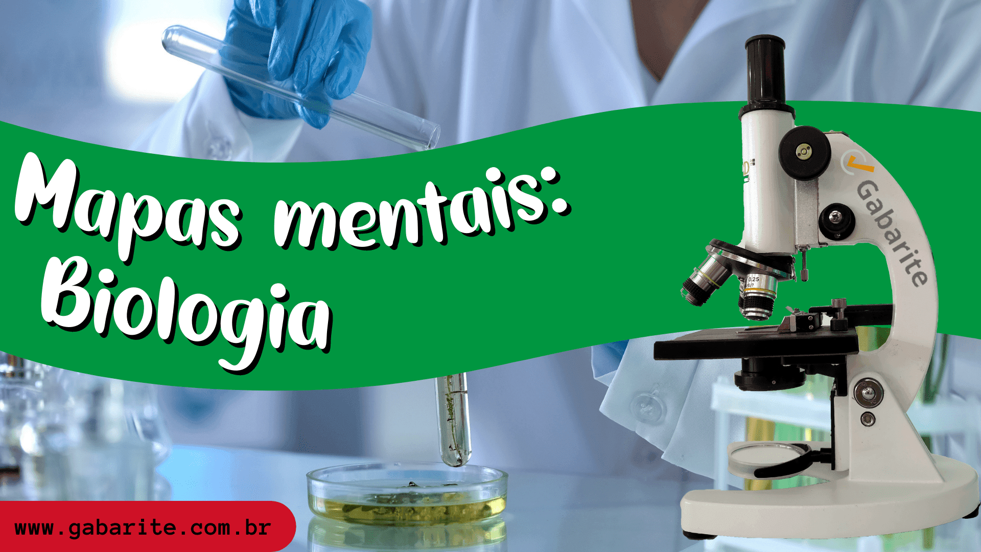 Mapas Mentais de Biologia