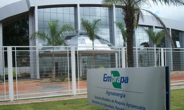 CEBRASPE divulga gabarito concurso EMBRAPA 2025 terça-feira; confira!