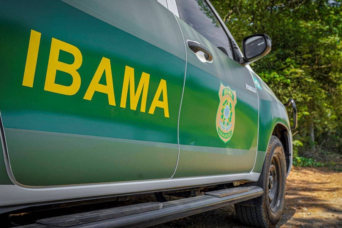 CEBRASPE divulga gabarito concurso IBAMA 2025 a partir de terça-feira!