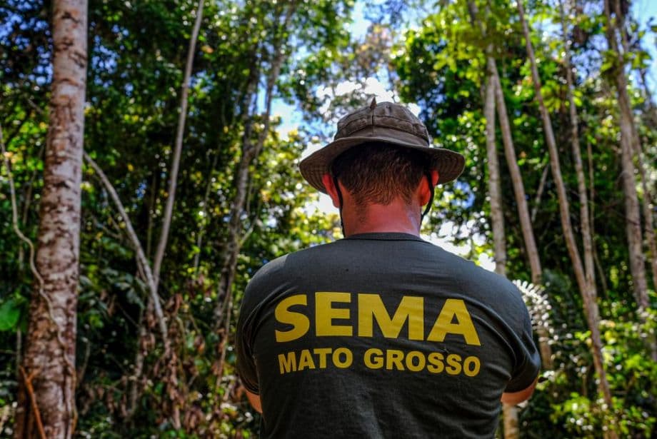 Processo Seletivo da SEMA/MT 2025: Inscrições Abertas!