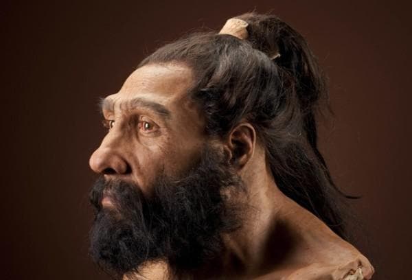 Homem de Neandertal: quem foi, características, costumes e extinção